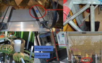 Creación de una especialidad dedicada a la elaboración de informes técnico-normativos de análisis de causas y circunstancias