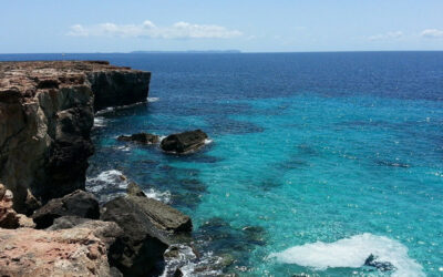 Two spills in Majorcan waters are being investigated