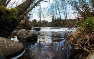 Un nuevo vertido en La Rioja contamina las aguas del río Iregua