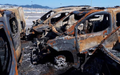 Intervención Pericial de Criteria: Incendio en la terminal de vehículos del Puerto de Vigo